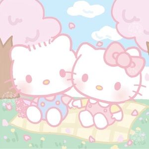 Meet your Posher, Diana